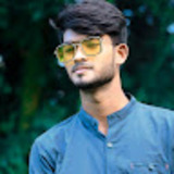 Md. Mehedi Hasan Mukul
