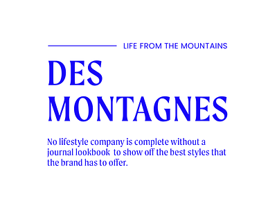 The Journal brand minimalism modern mountains ski type typography
