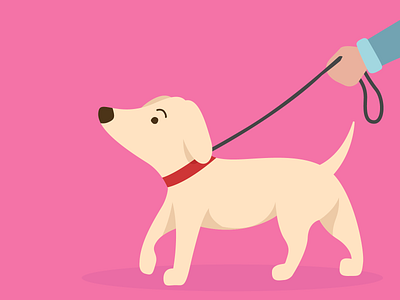 Walking the dog design dog illustration puppy vector