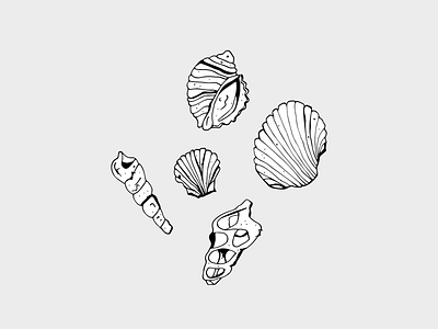 She sells sea shells by the sea shore illustration