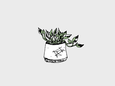 A baby Pothos cartoon content creation illustration plant lady