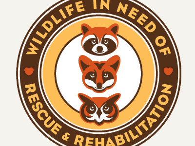 Final WINOOR animal icon raccoon