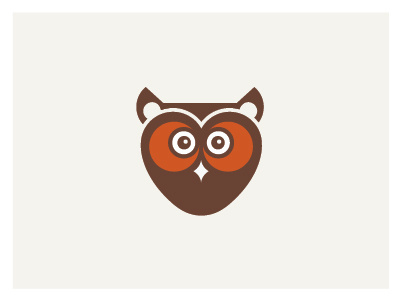 Owl bird owl