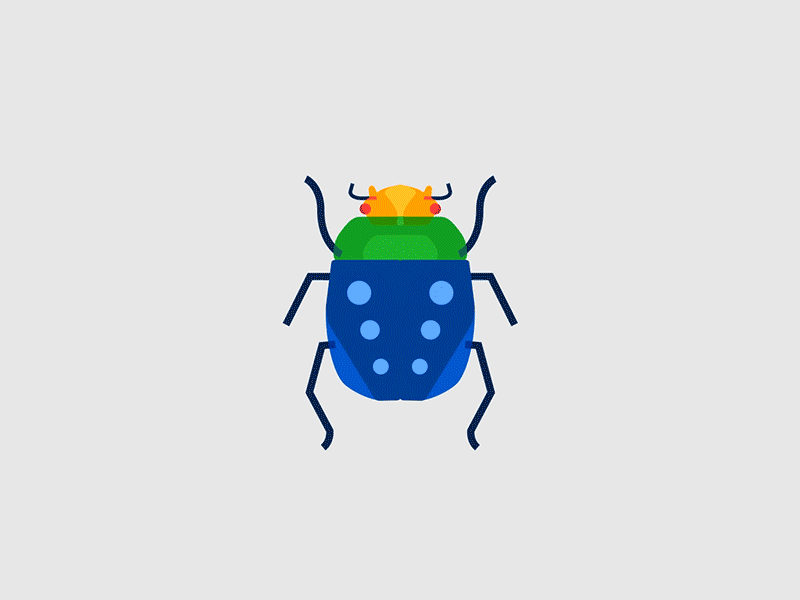 Beetles 2d animation after effects animal animation bettle gif morphing