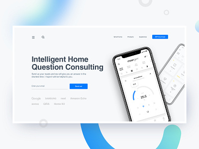 Design of Web Consulting Page branding color design smarthome typography web