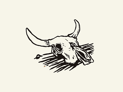 Cow skull adobe badge beer brand identity branding desert design graphic design identity illustration restaurant skull texas vector western