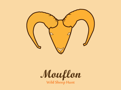 Mouflon Wild Sheep Hunt