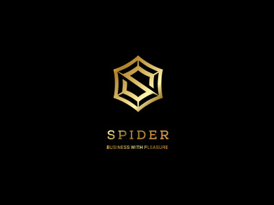 Spider Logo branding logo logo design