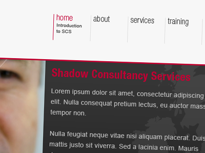 Shadow Consultancy Services clean draft modern simple