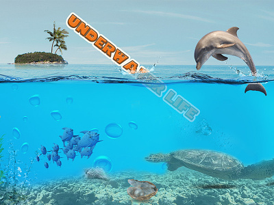 Underwater Life aquatic plants bubble dolphin fish sea island sky turtle underwater water wave