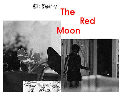 The Light of The Red Moon