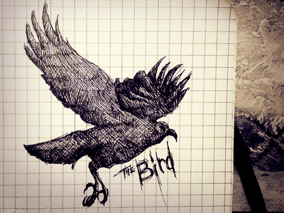 The Bird bird birds black and white drawing illustration moleskin pen sketch sketching