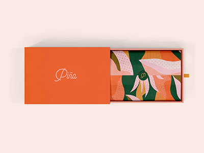 Piña Packaging 1 branding graphic design package design