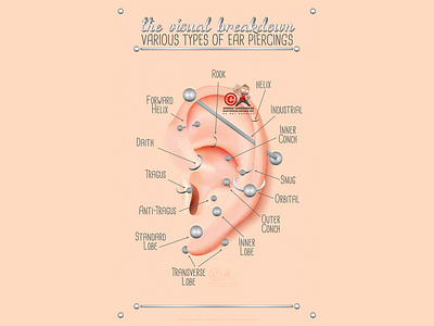 Ear Piercing Chart design digital ear piercing chart illustration photoshop