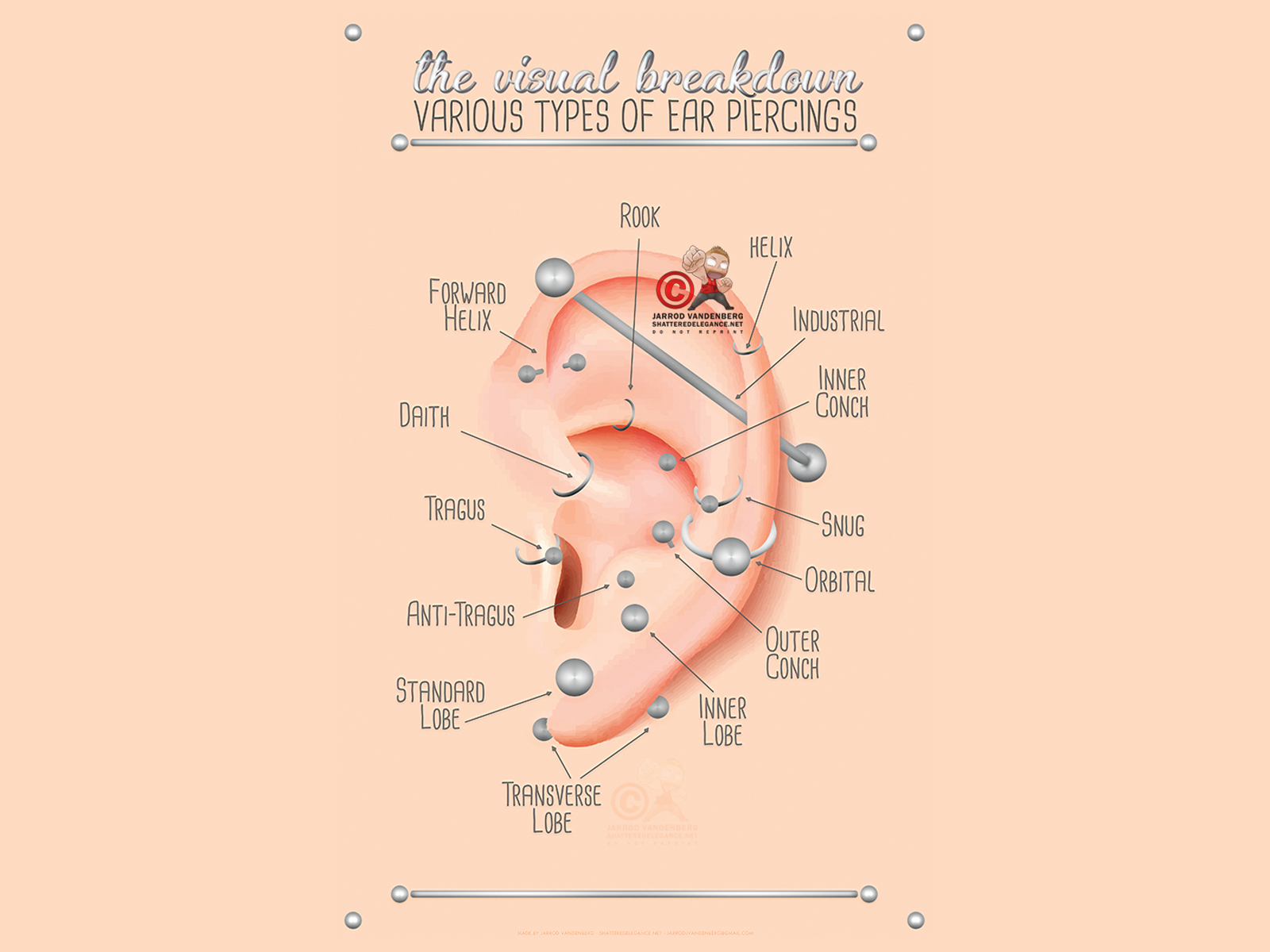 ear-piercing-chart-by-jarrod-vandenberg-on-dribbble