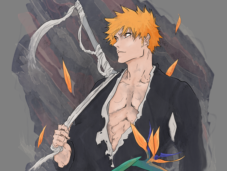 Ichigo April Birds Of Paradise By Jarrod Vandenberg On Dribbble