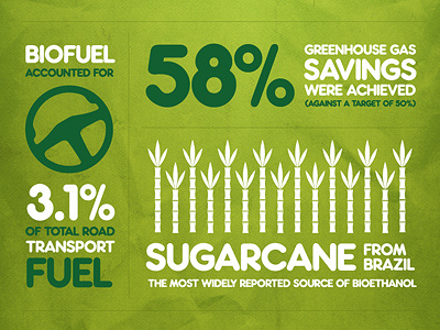Biofuel Infographic green infographic