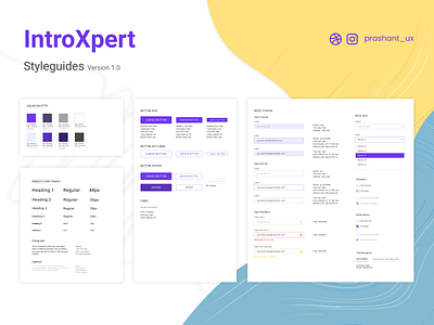 Style guides for IntroXpert