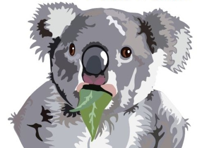 koala bear animation art cartoon design illustration koala bear vector