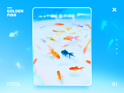 Goldenfish blue design fish illustration