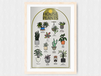 House Plants poster design house plants illustration minimal plant plants print