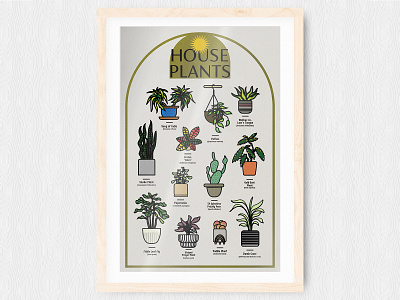 House Plants poster design house plants illustration minimal plant plants print