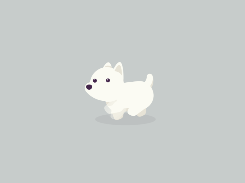 Animated Puppy after animation cartoon dog effects flat minimal running solid