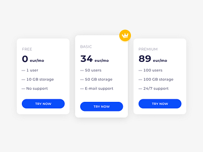 Daily UI #030 - Pricing concept daily 100 challenge dailychallenge dailyui design desktop e comerce ecommerce interface price pricing pricing page pricing plan pricing plans pricing table shop ui uidesign website website design