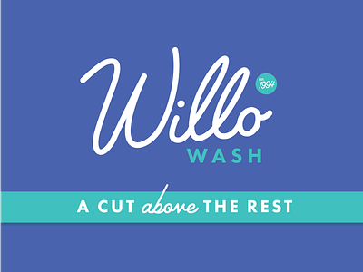 Willo Wash brand brand identity branding design illustration lettering lifestyle brand logo logo design retro script script font typography vector vintage