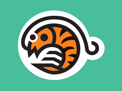 Tiger Shrimpy