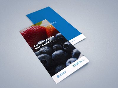 Alimentación saludable. brochure design graphic design poster trifold