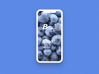 Fruit_blueberries design fruit iphone iphone x typography ui visual