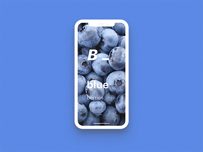 Fruit_blueberries