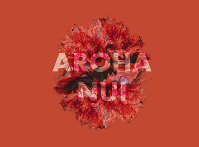 AROHA NUI color color exploration design pattern