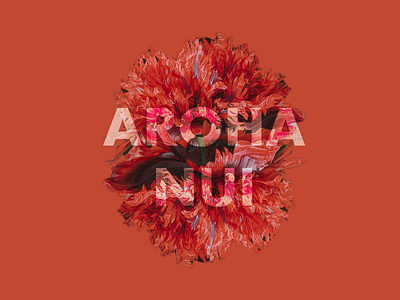 AROHA NUI