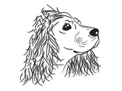 Cocker animals dogs illustration vector
