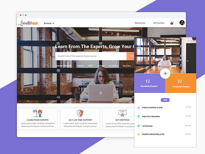 Intellipaat - E-Learning (Re Design) e learning intellipaat ui ux