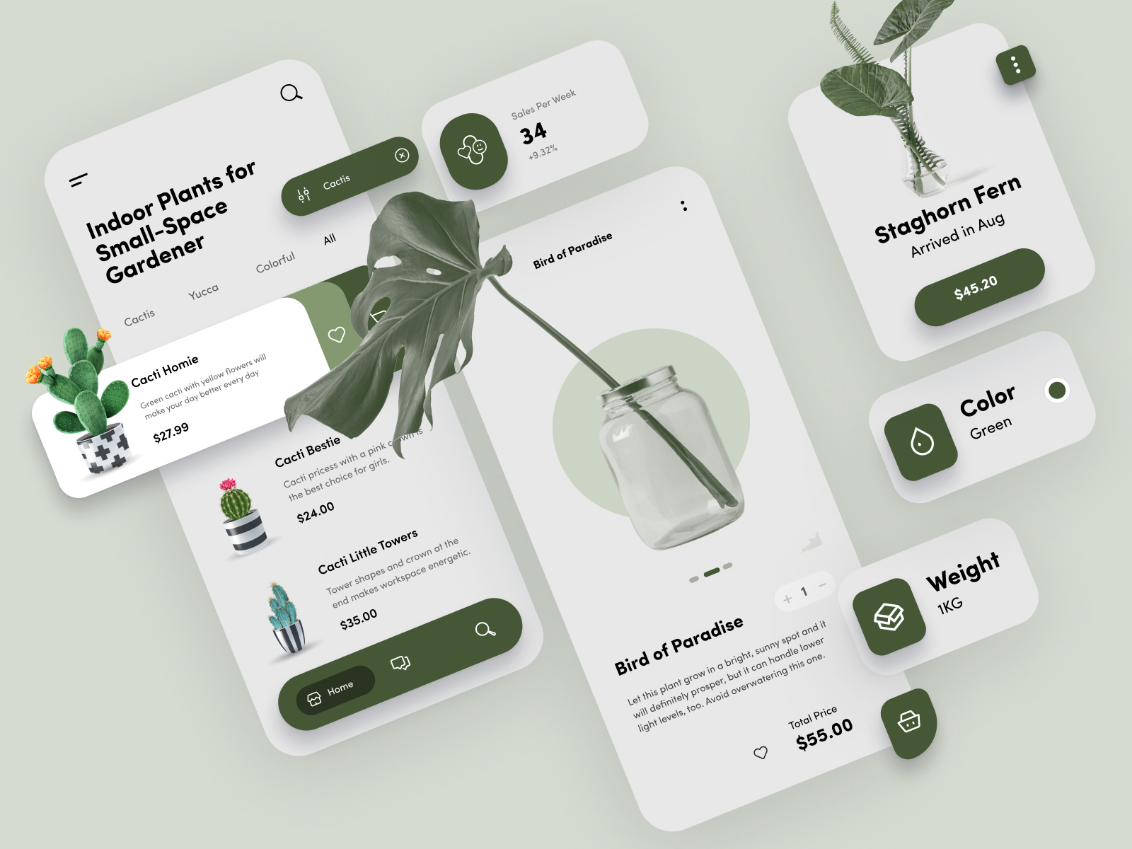 Indoor Plants App By Mike Taylor On Dribbble   017e99581a9f4ee607b60f69f621f583 