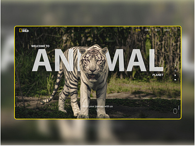 Nat Geo Landing Page-Free UI Resources