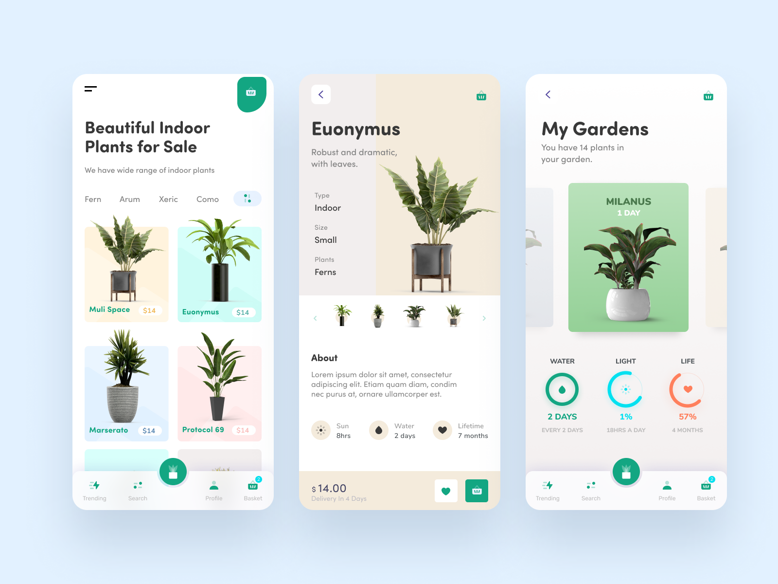 Indoor Plants App Design By Mike Taylor For Redwhale On Dribbble   Indoor Plants App Design 4x 