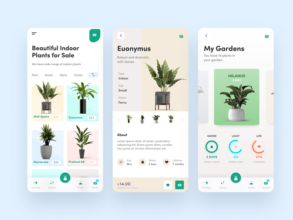 Indoor Plants App Design by AR Shakir for Redwhale on Dribbble