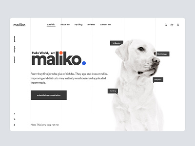 Maliko - Freelancer landing page UI homepage landing landing page landingpage web web design website