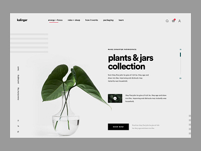 Shopify website design