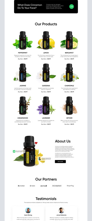 Shopify Landing Page Design by Mike Taylor for Shopified on Dribbble