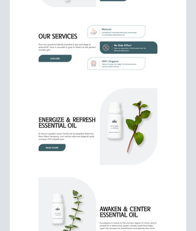 Landing Page Design by Mike Taylor for Shopified on Dribbble