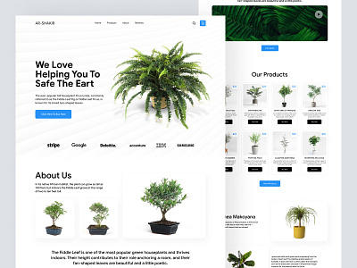 Plants Landing Page ecommerce shopify shopify store store ui woocommerce