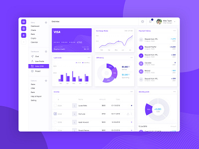 Financial Management App Dashboard charts dashboad finance app flat flat design light modern piechart sketch app ui design