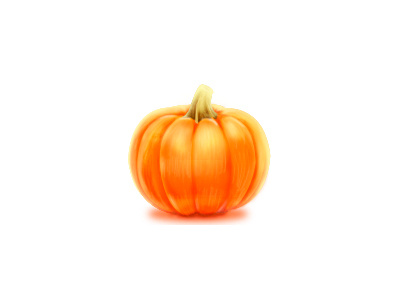 pumpkin food vegetable food icon illustration photoshop pumpkin realistic vegetable