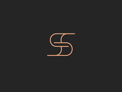 Letter S Logo