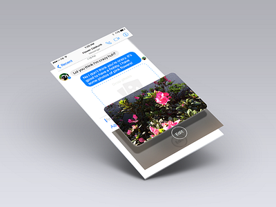 Messenger Photo Share Interaction